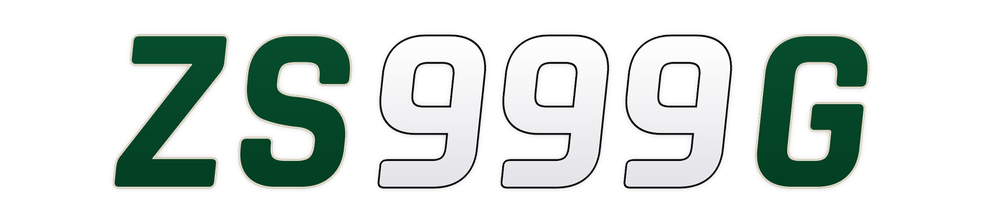 zs999g